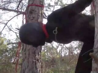 Tied up to a tree outdoor on attractive clothes&comma; wearing pantyhose and high ankle boots heels&comma; rough fuck