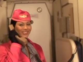 Grand air hostess sucking pilots big phallus