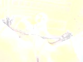 अडल्ट वीडियो साथ एक बस्टी लोंज़ेरी मॉडेल में जांघ highs